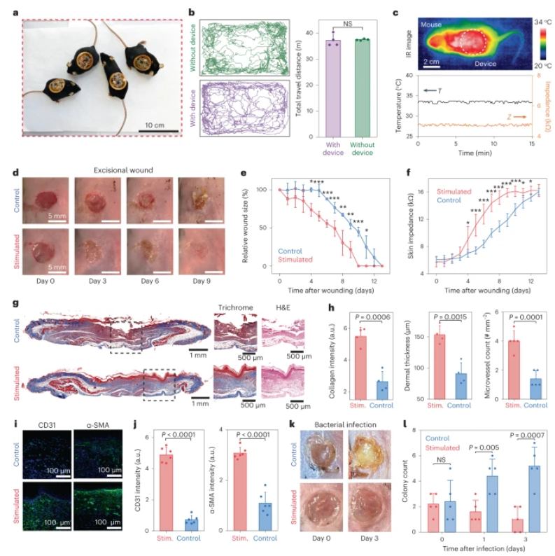 鲍哲南教授等人，最新Nature子刊！