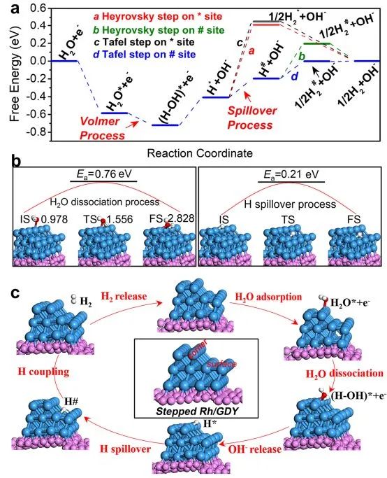 八篇顶刊集锦：Nature子刊、EES、AM、ACS Catal.、Adv. Sci.、AFM等