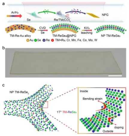 最新催化顶刊：JACS、EES、AM、AFM、ACS Catalysis、Nano Letters、NML等成果集锦！