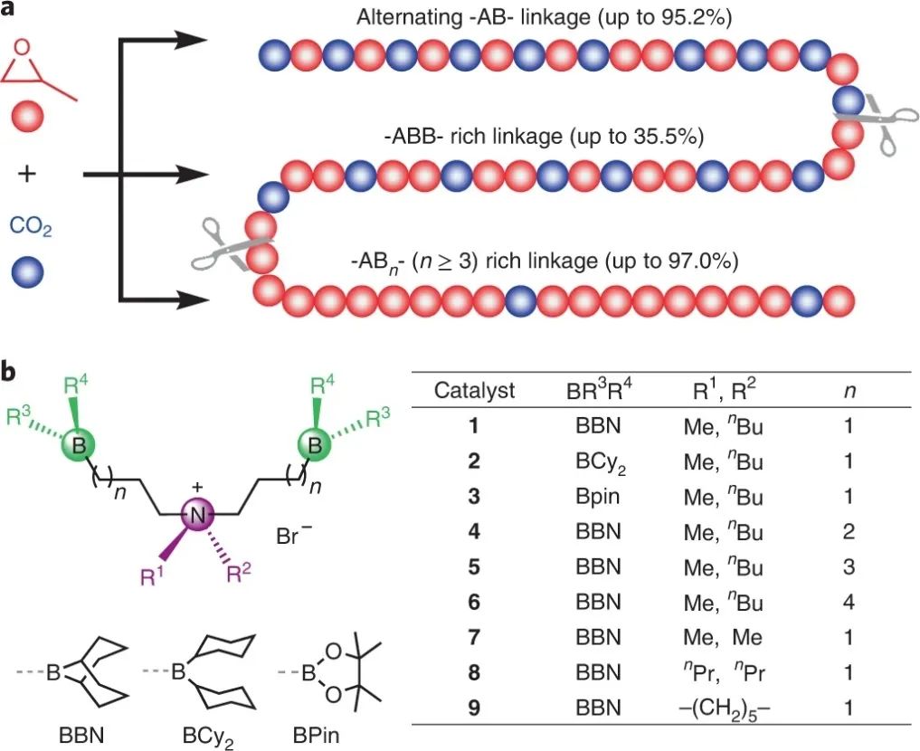 浙大伍广朋团队Nature Synthesis：CO2和环氧丙烷精准共聚！