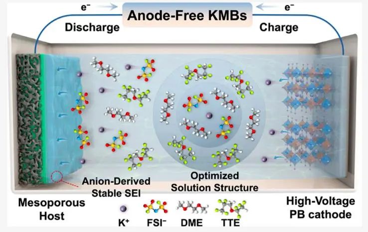 华科大谢佳团队ACS Energy Lett.：定制电解质和主体结构实现高能量密度无负极钾金属电池
