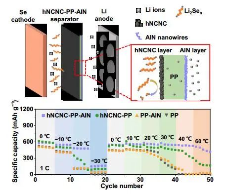 胡征/杨立军/吴强Adv. Mater.：1+1＞2！高倍率Li-Se电池运行温度-30至60 °C