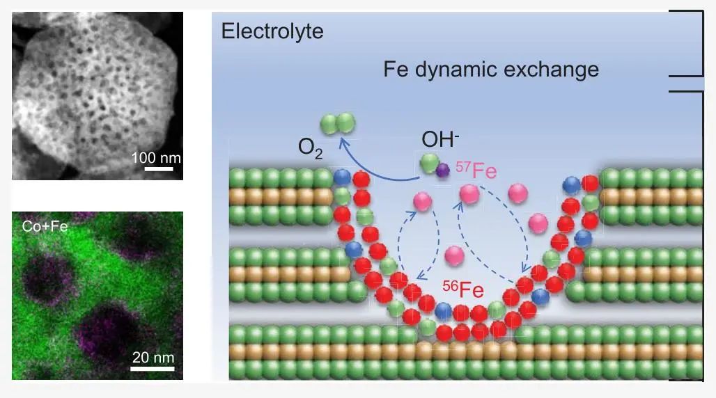 秦明礼/贾宝瑞/薛军民​JACS：面工程和孔设计促进析氧催化中的动态铁交换，打破活性-稳定性权衡