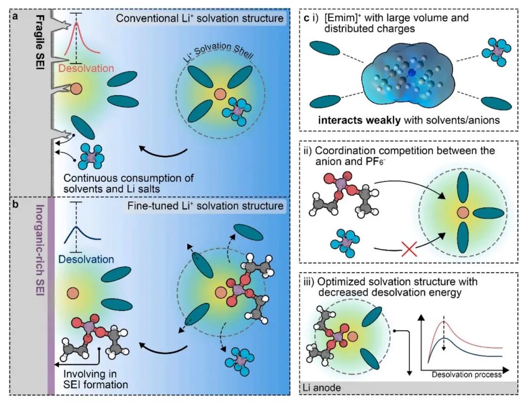 ​浙大Nano Energy：通过阴离子的空间效应和溶剂化化学微调Li+溶剂化结构