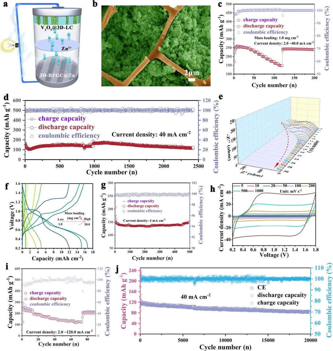 赵天寿/曾林Nature子刊：三维分层石墨烯基质助力稳定的锌负极