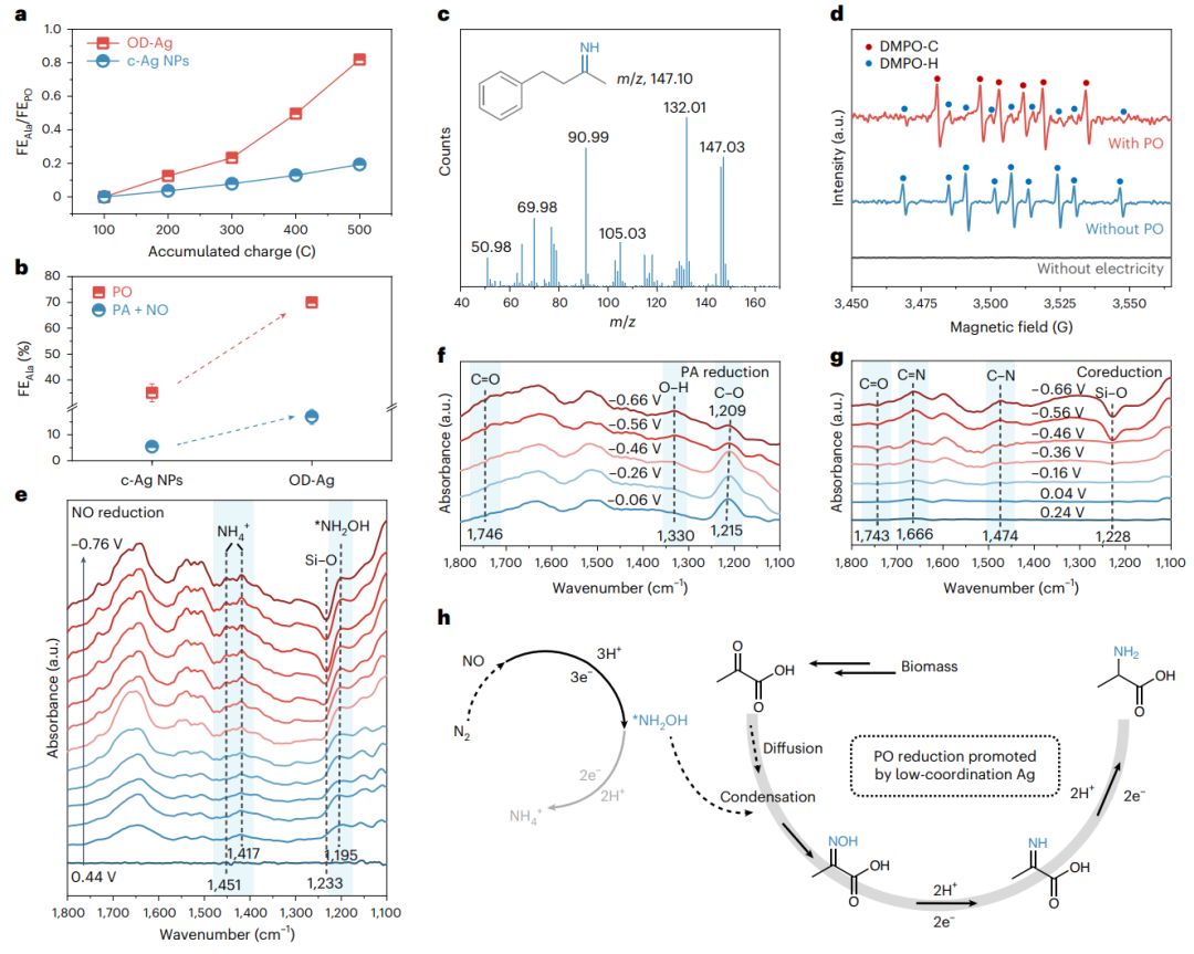 天津大学张兵教授课题组，今年第2篇Nature Catalysis！