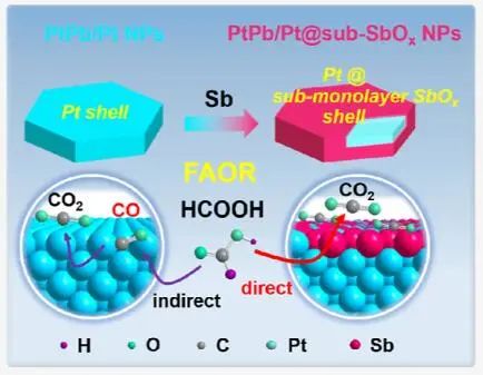 卜令正/黄小青JACS：提高151倍！PtPb/Pt@sub-SbOx NPs催化直接甲酸氧化，助力直接甲酸燃料电池