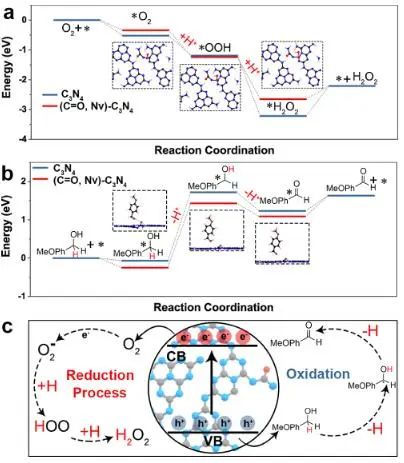 八篇顶刊速递：Nature子刊、Angew.、JACS、AM、AFM、ACS Catalysis等！