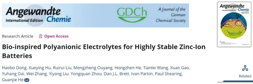 ​何冠杰Angew.：仿生聚阴离子电解质用于高稳定锌离子电池