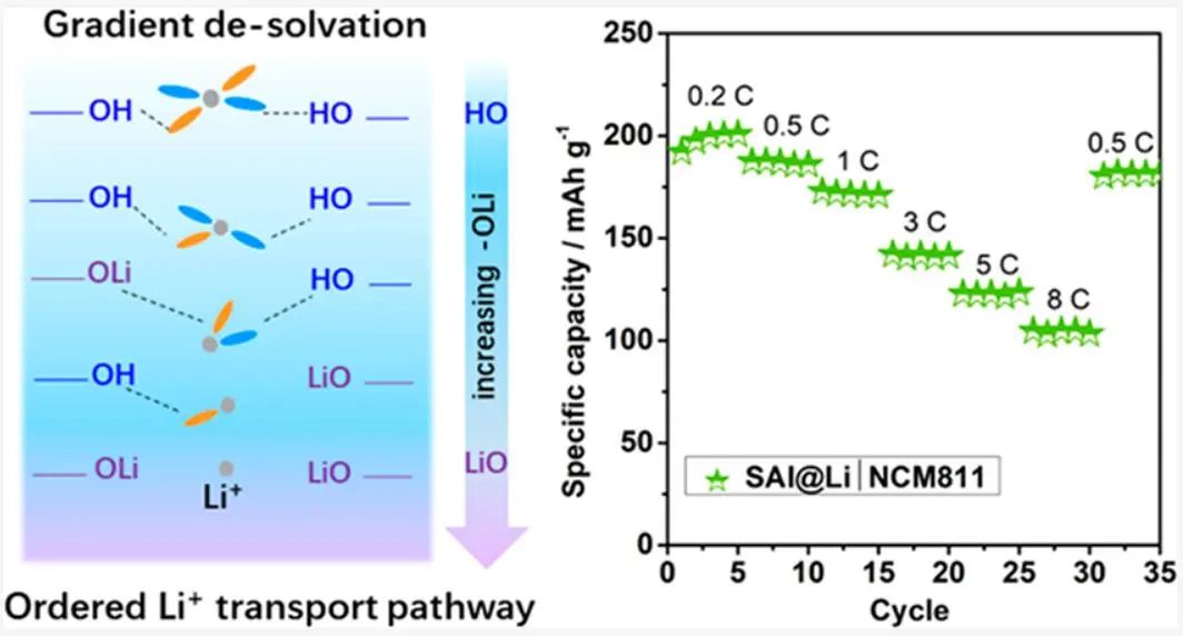 李国兴团队ACS Energy Letters：有序锂离子传输通道协同空间限域梯度去溶剂化作用实现高性能锂金属电池