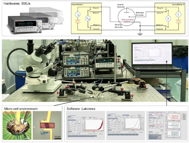 EES Catalysis：新兴芯片微电极在电催化中的作用：窗口和电路功能