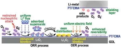 ​孙世刚/乔羽/王欣AEM：多功能聚合物添加剂提高锂氧电池的反应动力学和可逆性