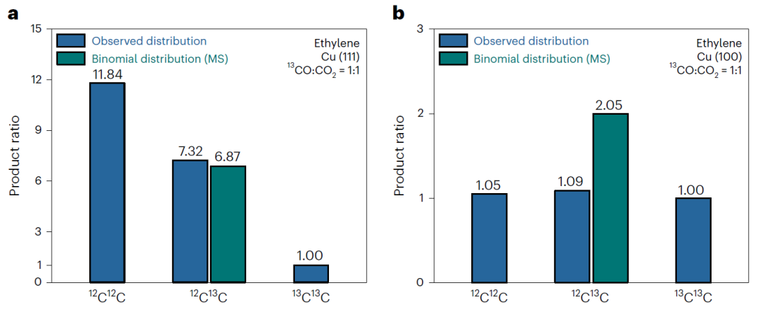 北京大学徐冰君团队，最新Nature Catalysis！