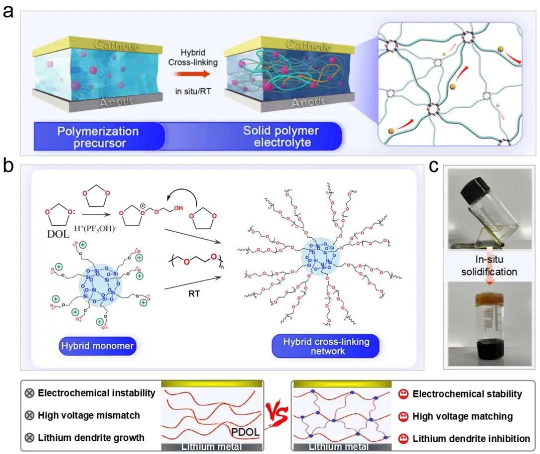 ​朱才镇/田雷AM：原位固化聚合物电解质实现高性能固态锂金属电池