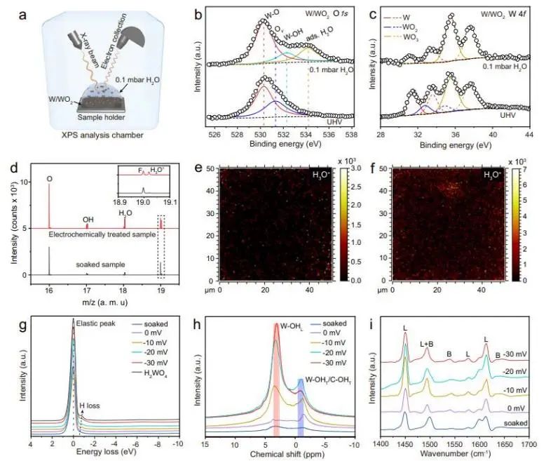 催化顶刊集锦：Nature子刊、Angew.、EES、AFM、ACS Nano等成果