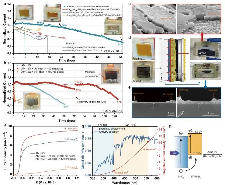 催化顶刊集锦：JACS、Nature子刊、Angew.、ACS Catal.、AFM、ACS Nano等成果