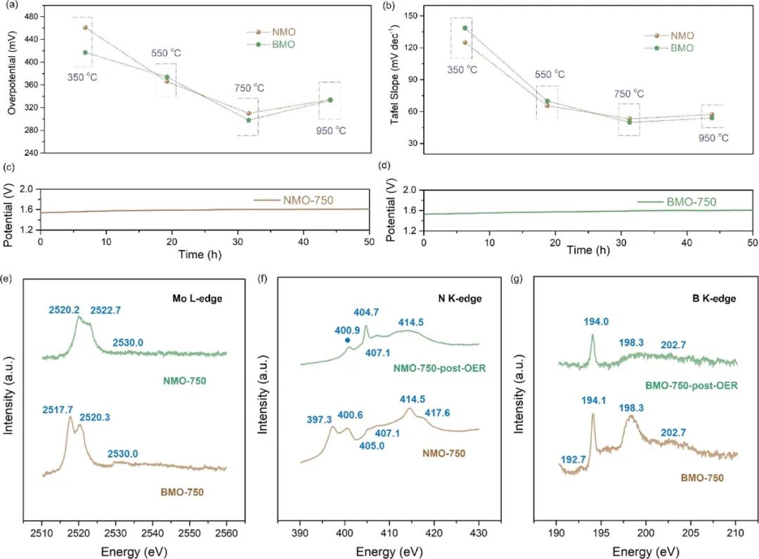 催化顶刊合集：Nature子刊、EES、AM、CEJ、ACB、ACS Catalysis等成果！