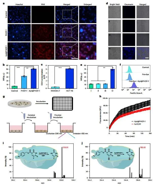 曲晓刚研究员，最新Nature Catalysis！