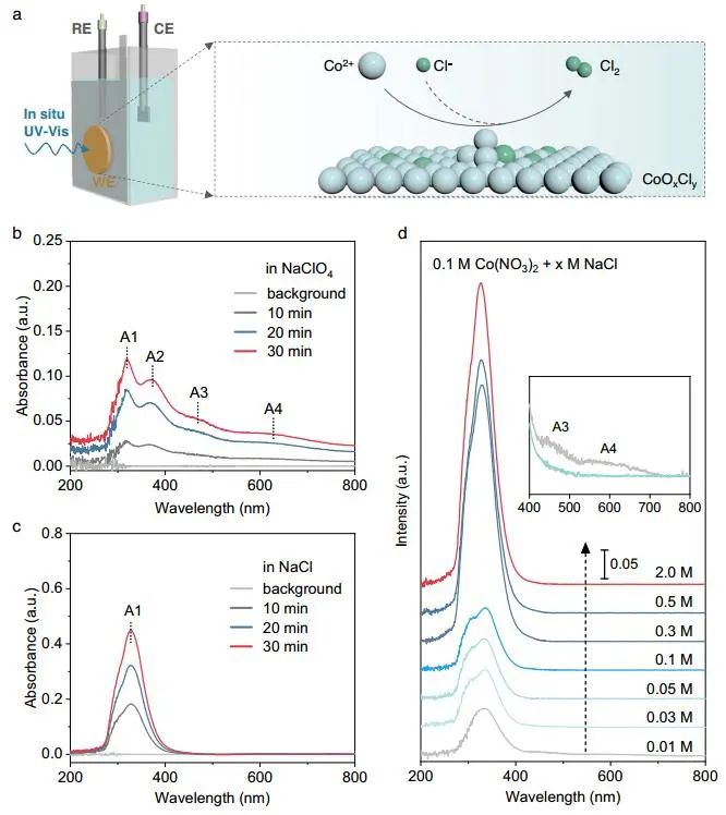 计算结合实验，8篇顶刊速递：AM、Nature子刊、Angew.、JACS等！