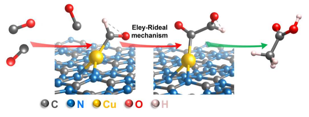 重磅！Science子刊、JACS共同聚焦单原子Cu催化剂！