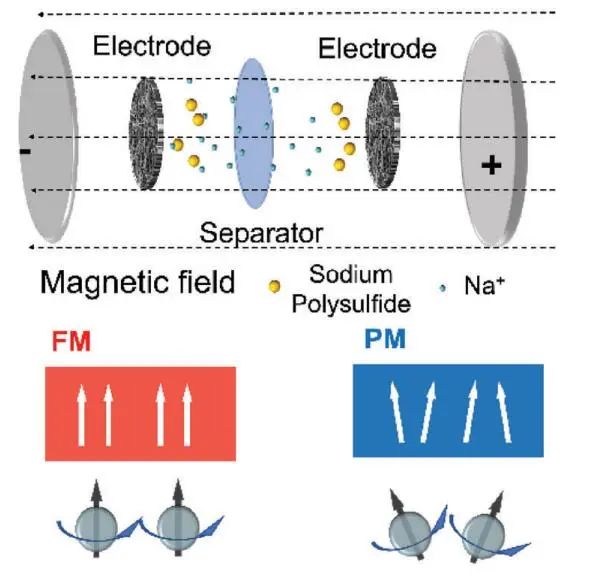 周金元教授等AFM：外磁场下的CoFe2O4催化添加剂助力钠硫电池