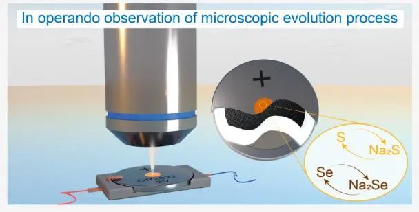 张治安团队Nano Letters：使用光学显微镜直接观察室温钠硫/硒电池的演化过程