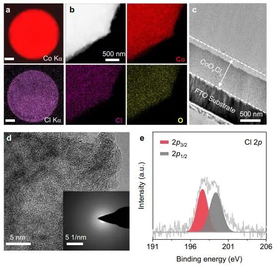 催化顶刊集锦：Nature子刊、Angew.、EES、AFM、ACS Nano等成果