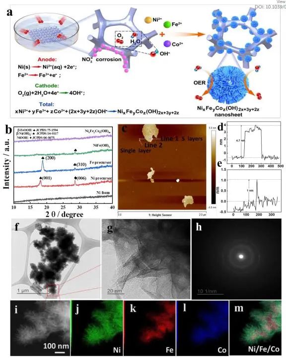 催化顶刊集锦：Nature子刊、Angew.、EES、AFM、ACS Nano等成果