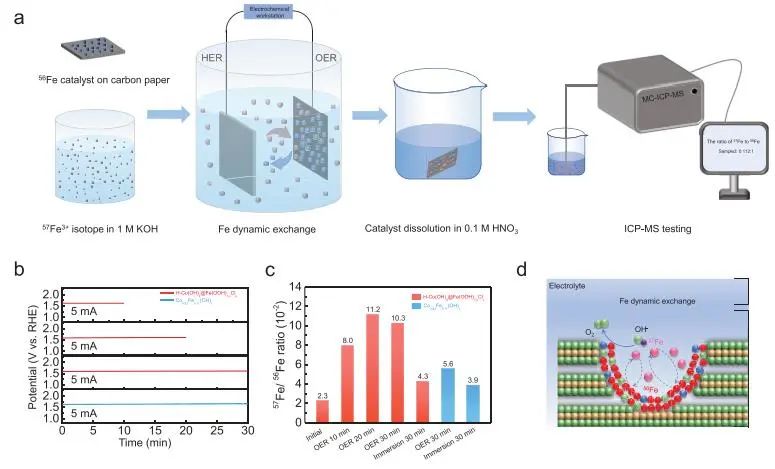 催化顶刊集锦：JACS、Nature子刊、Angew.、AFM、Adv. Sci.、ACS Catal.等成果