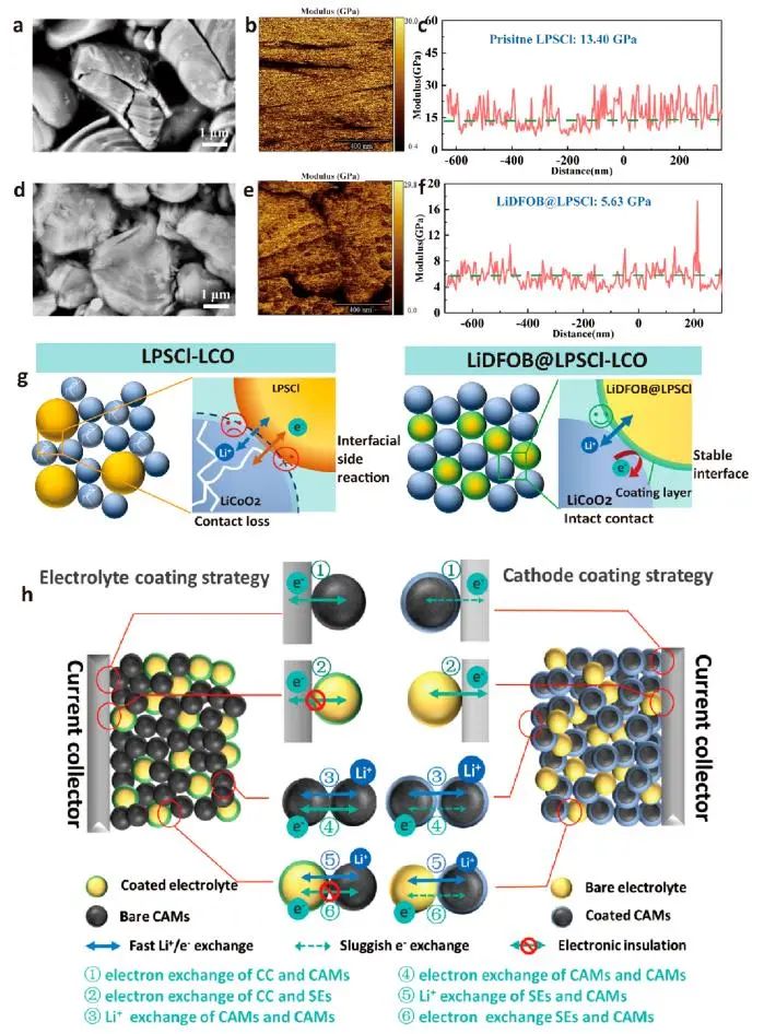 厦门大学杨勇团队ACS Energy Letters：电解质界面修饰实现高电压高载量及长循环的硫化物全固态锂电池