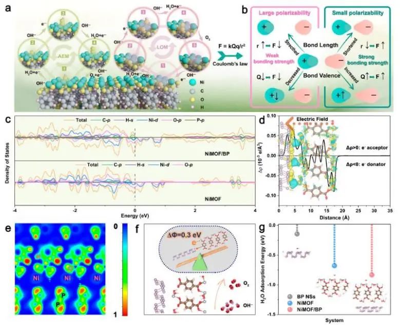 催化顶刊集锦：JACS、Nature子刊、Chem、AFM、ACS Catalysis、ACS Nano等成果