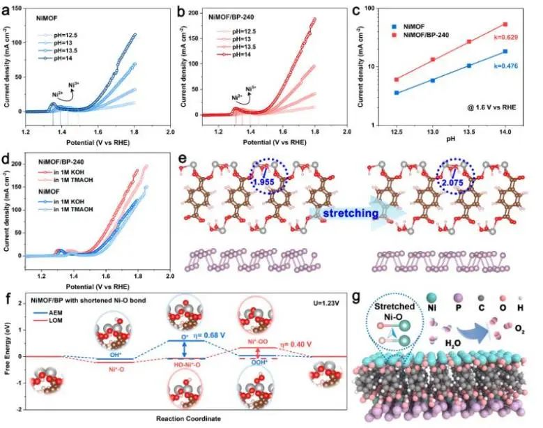 催化顶刊集锦：JACS、Nature子刊、Chem、AFM、ACS Catalysis、ACS Nano等成果