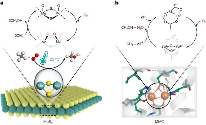 圣杯反应！大连化物所邓德会/于良，最新Nature Catalysis!