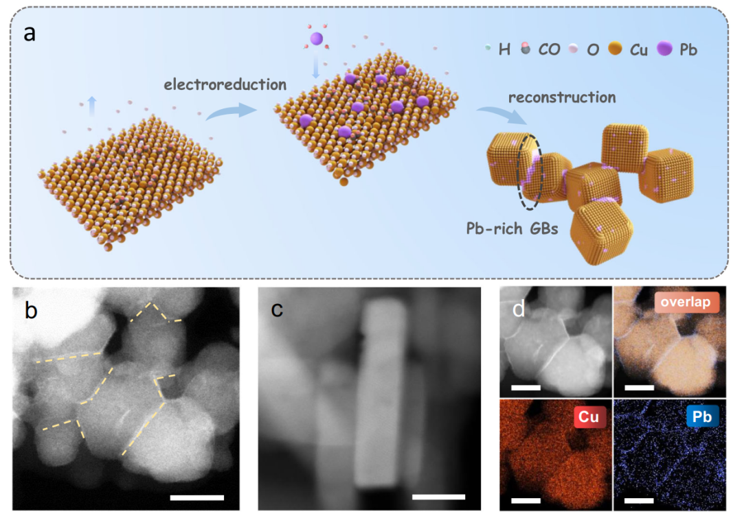 复旦徐昕/张波Nature子刊：构筑富Pb的Cu晶界位点，选择性电催化CO还原成正丙醇！