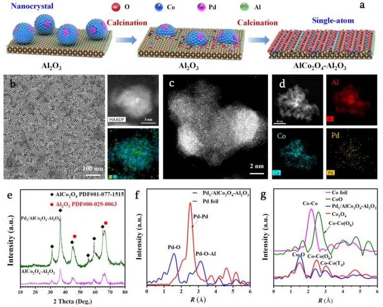 催化顶刊集锦：JACS、Nature子刊、Angew.、AFM、Adv. Sci.、ACS Catal.等成果