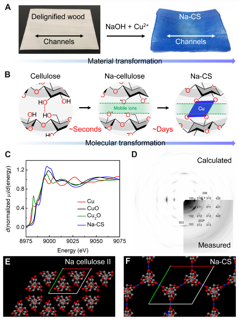 胡良兵&李恬，最新Science子刊！