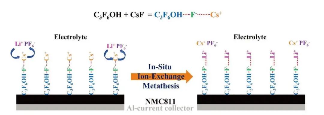 戴胜团队AFM：离子交换法助力NCM811稳定界面的构建