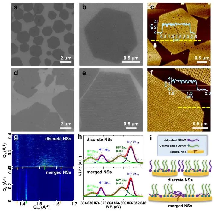 催化顶刊集锦：Nature子刊、Angew.、EES、AFM、ACS Nano等成果