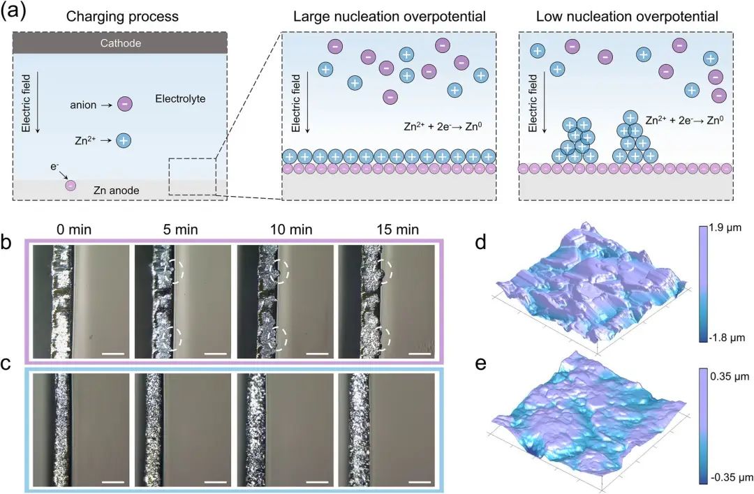 陈人杰/李丽NML：通过增加成核过电位实现高可逆的锌金属负极