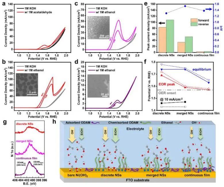 催化顶刊集锦：Nature子刊、Angew.、EES、AFM、ACS Nano等成果