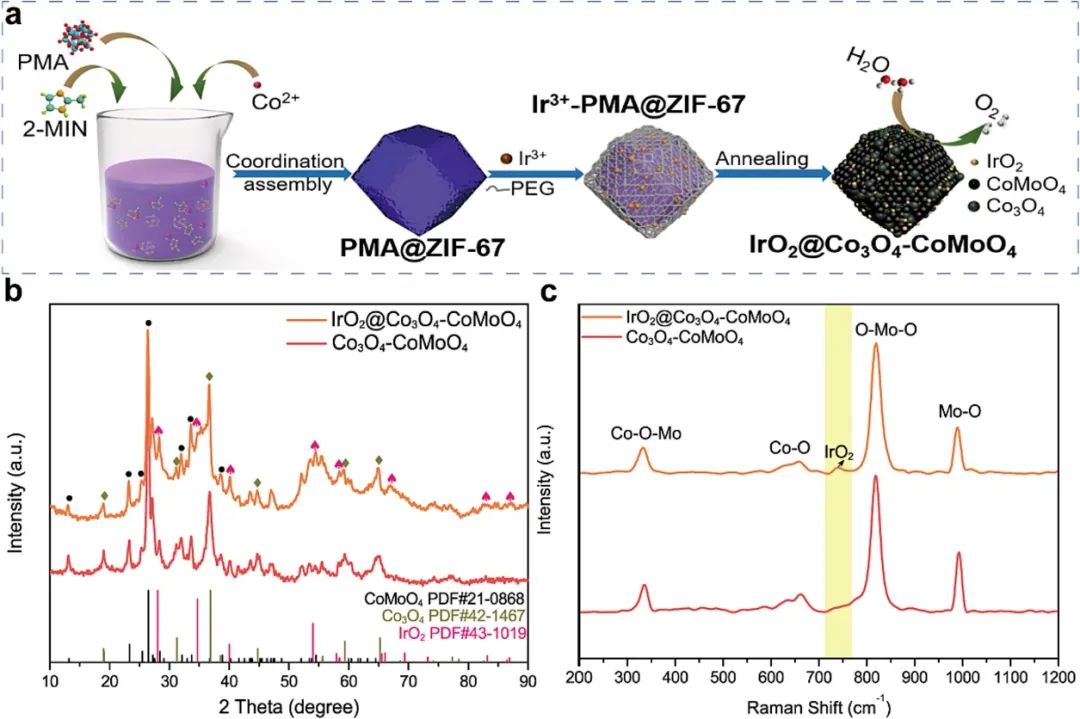 催化顶刊合集：Nature子刊、EES、AM、CEJ、ACB、ACS Catalysis等成果！