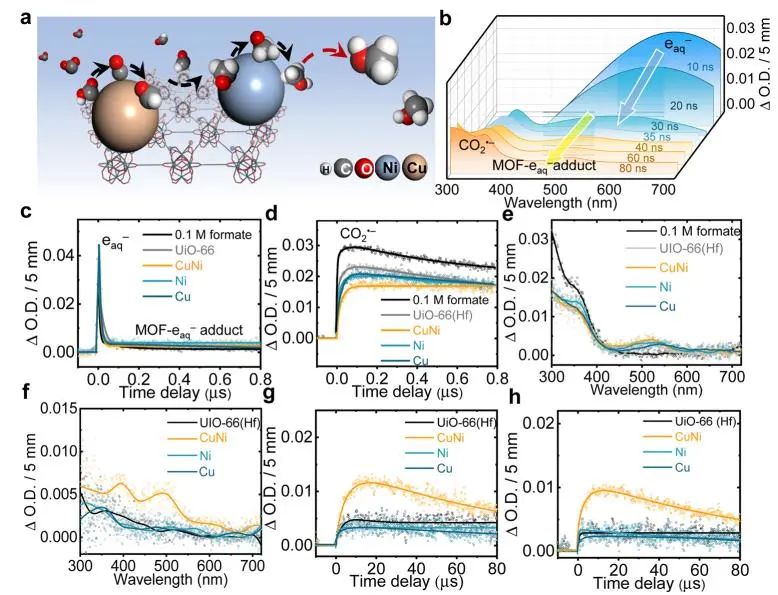 ​南航/北大Nature子刊：高能辐射耦合CuNi SAs/UiO-66(Hf)，实现高选择性还原CO2生成CH3OH