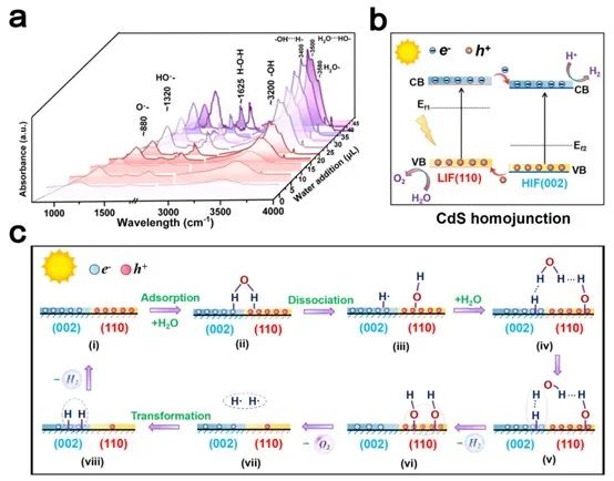 ​三单位联合Angew.：调节局部CdS同质结的d带中心以改善其光催化水分解性能