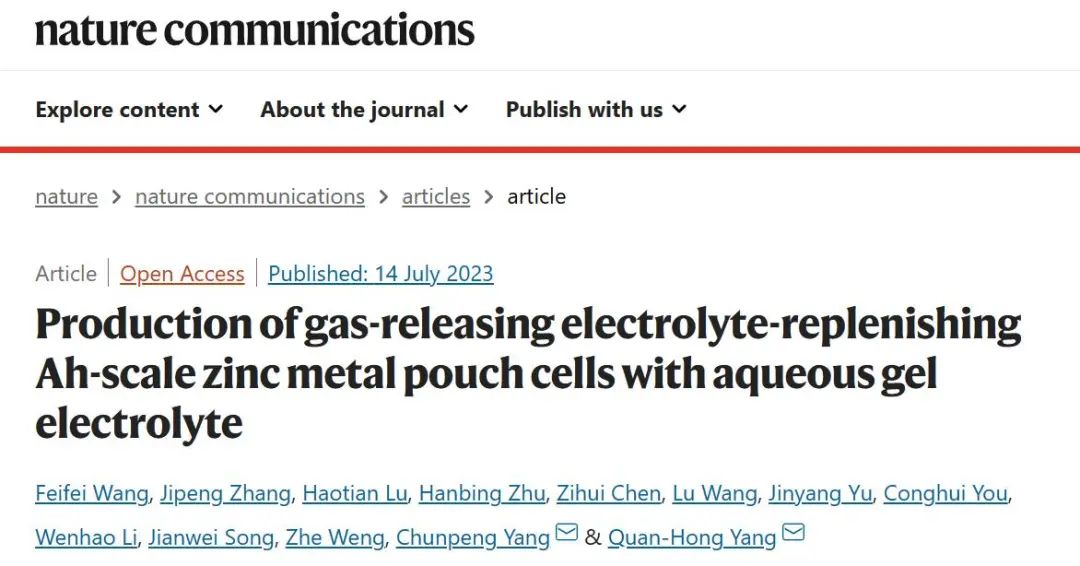 杨全红/杨春鹏Nature子刊：水性凝胶电解质生产释气电解质补充Ah规模的锌金属软包电池