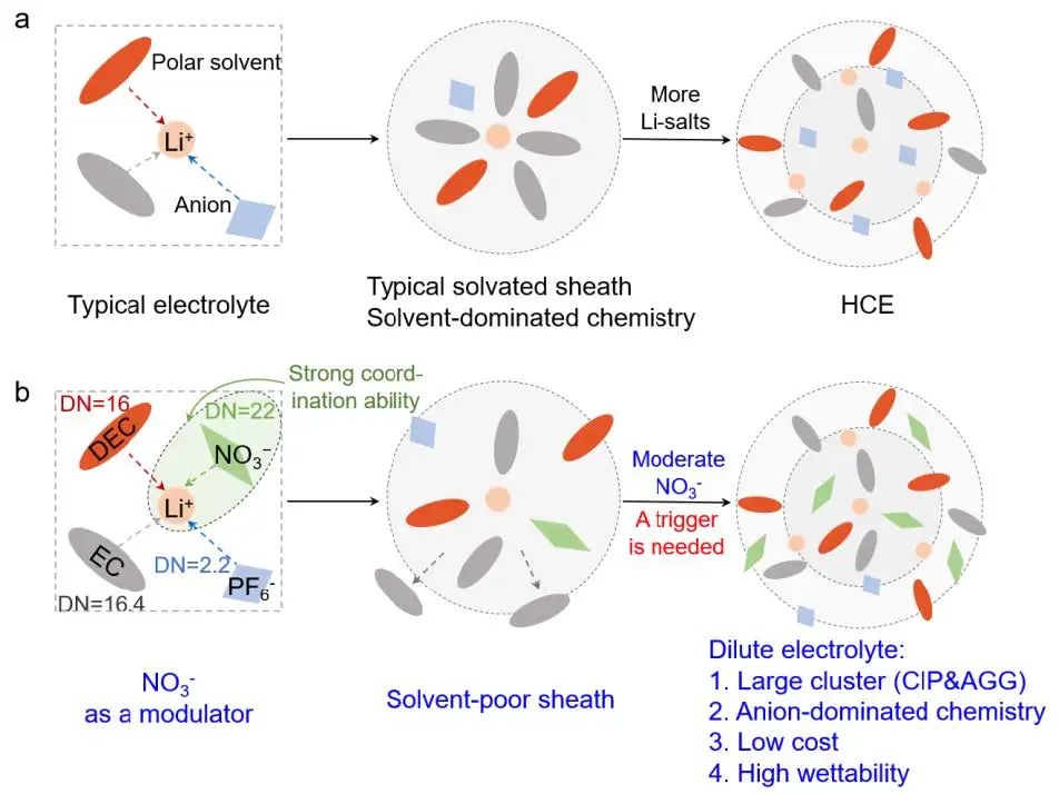 付永柱/李翔EnSM：通过富含阴离子的稀电解液实现锂金属电池的稳定界面