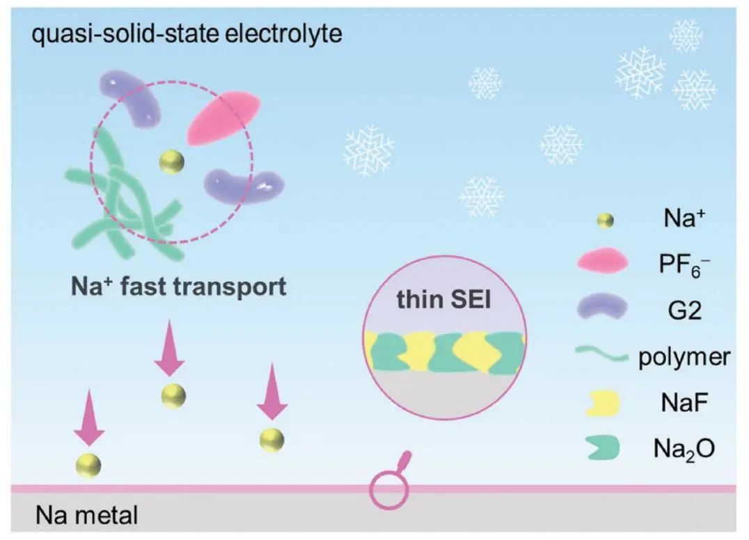 同济大学罗巍团队AFM：低温钠金属电池用准固态聚醚电解质