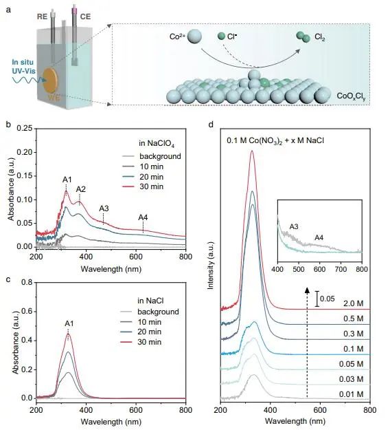 催化顶刊集锦：Nature子刊、Angew.、EES、AFM、ACS Nano等成果