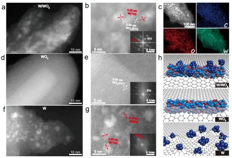 催化顶刊集锦：Nature子刊、Angew.、EES、AFM、ACS Nano等成果