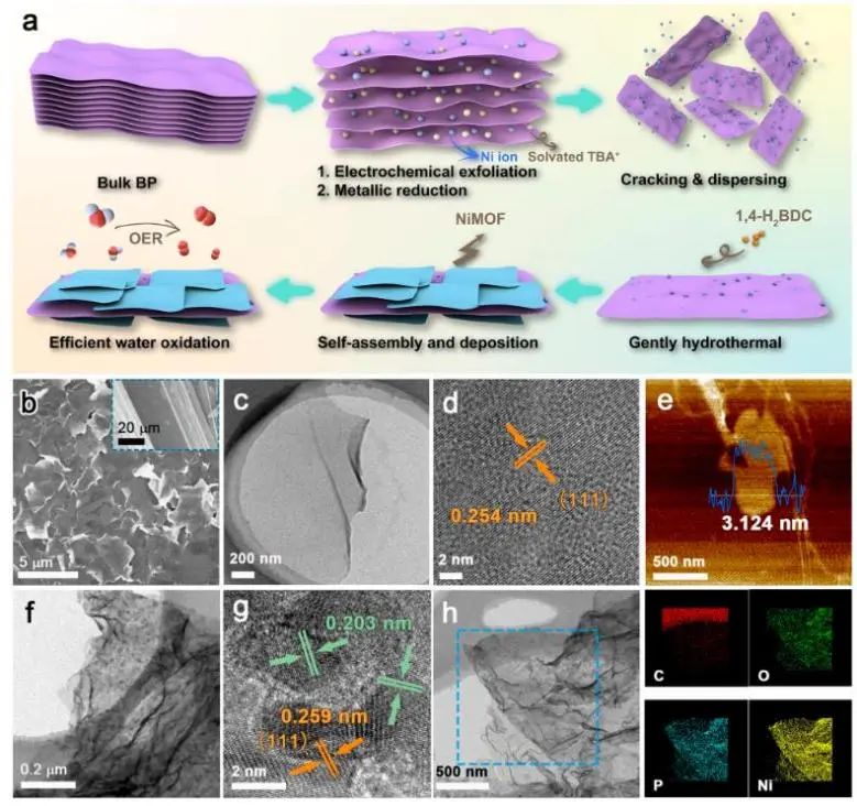 催化顶刊集锦：JACS、Nature子刊、Chem、AFM、ACS Catalysis、ACS Nano等成果