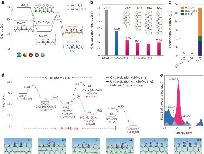 圣杯反应！大化所邓德会/于良，最新Nature Catalysis!